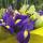 slavaw