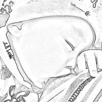Solnce