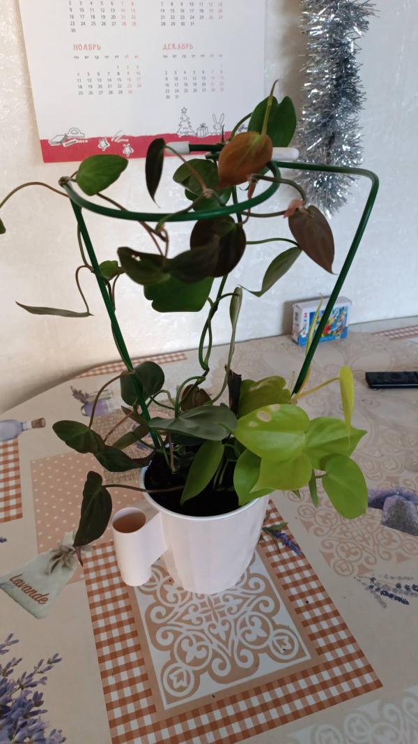 post image 5