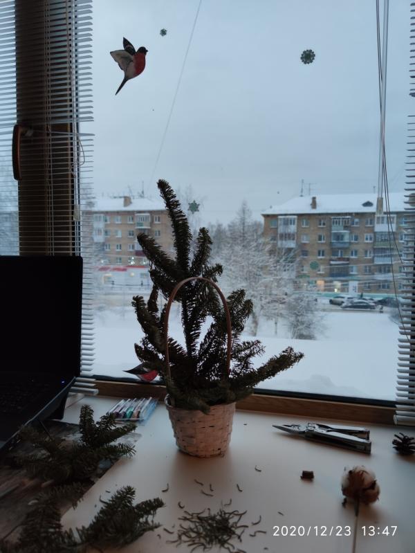 post image 1