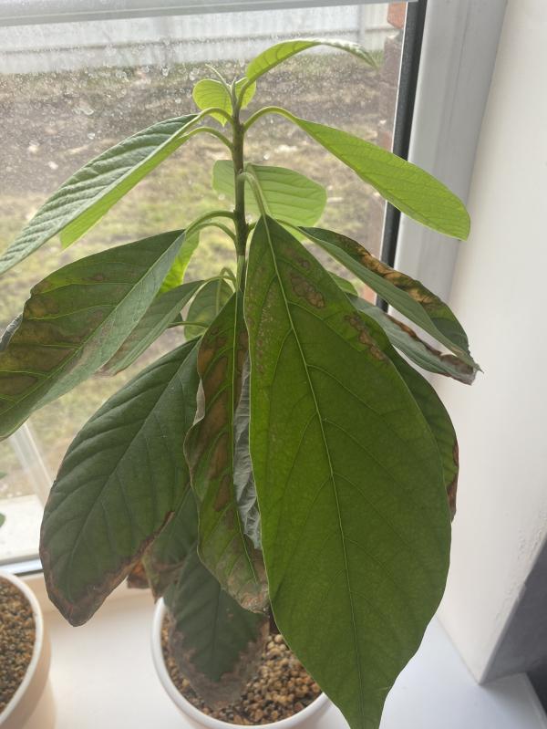 post image 4