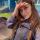 androsova23