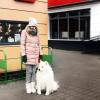 стикер