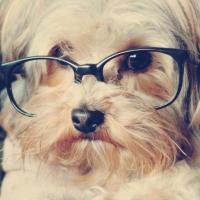 Романченко Марианна