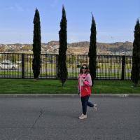Antonina