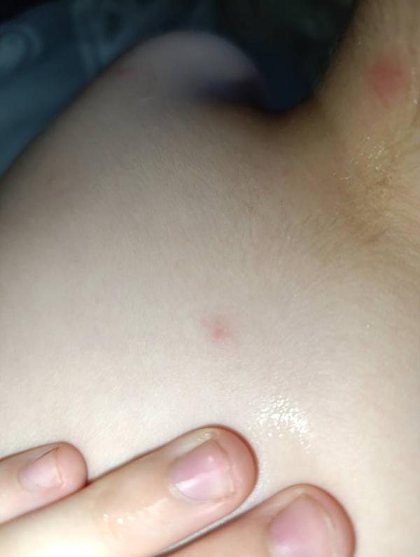 post image 3