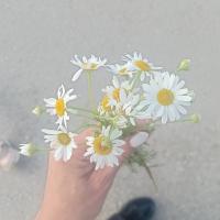 Фиона