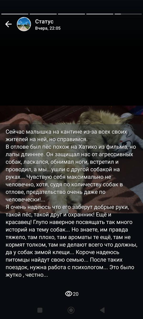 post image 5