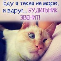 Марина