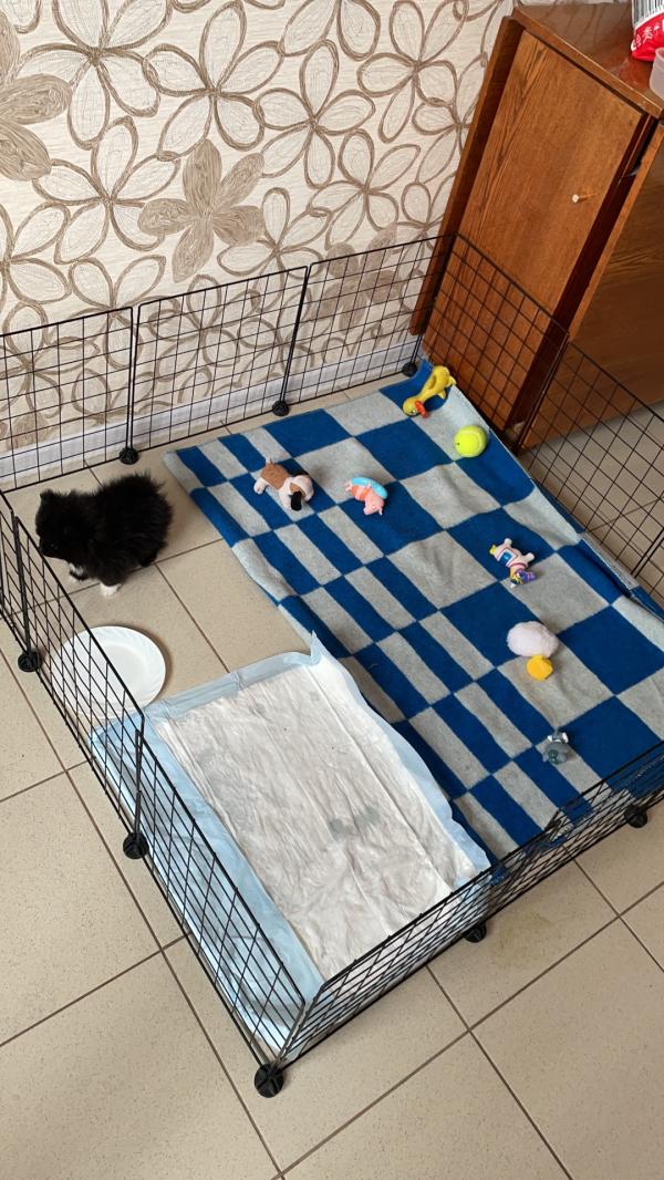 post image 5