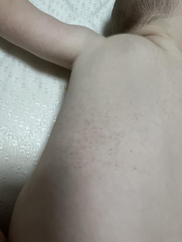 post image 4