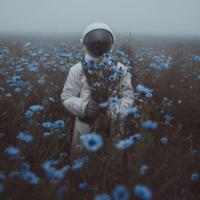 Ваше Имя