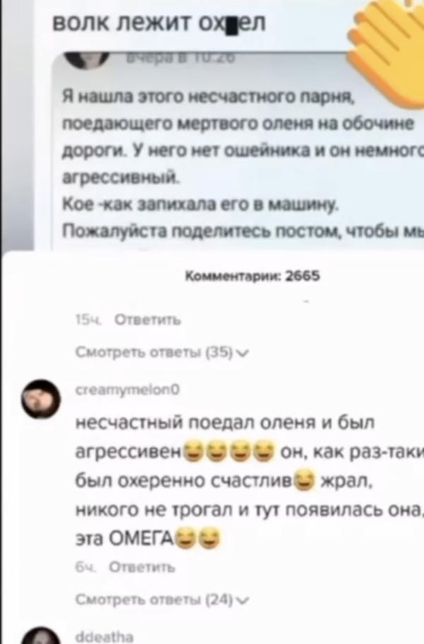 post image 4