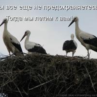 Жан