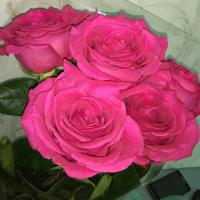 Альбина Шакирова 