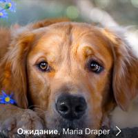 Юлия