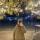 asya8097