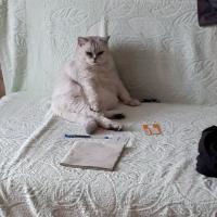Людмила