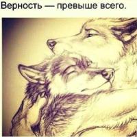 ирада