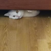 Кристина 