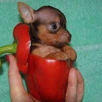 Екатерина У. 