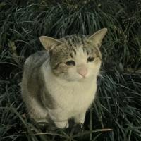 спокойной ночи