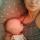 alexandrova_a_v