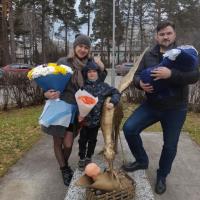 Елена Шевченко