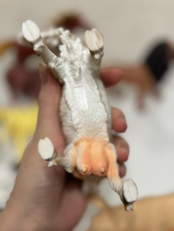 post image 4