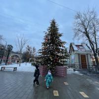Роза