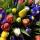 ulisa_m