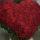 aysel.mv