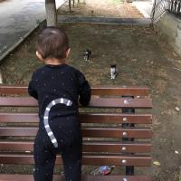 Asya
