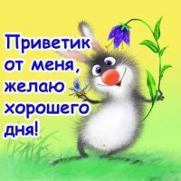 мадина