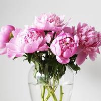 askarova8493@gmail.com