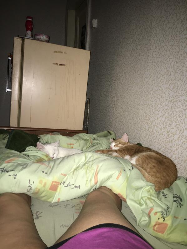 post image 2