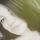 nastya_starg