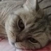Марина