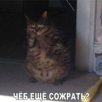 Таня