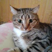 Александра