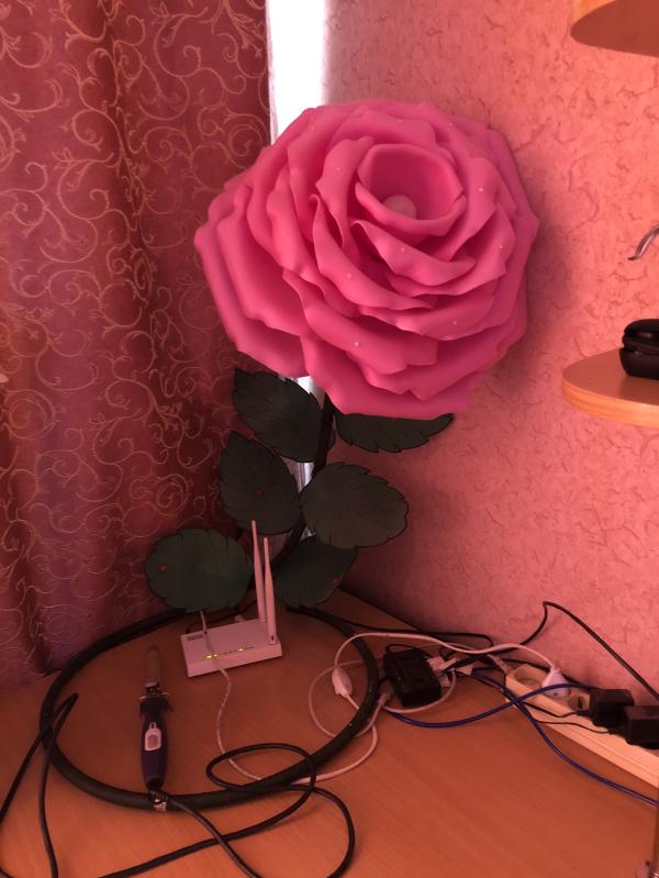 post image 4