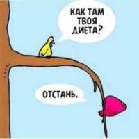 Джамиля 