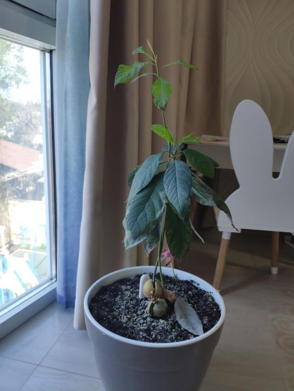 post image 1