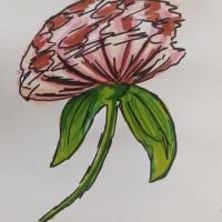 Катерина