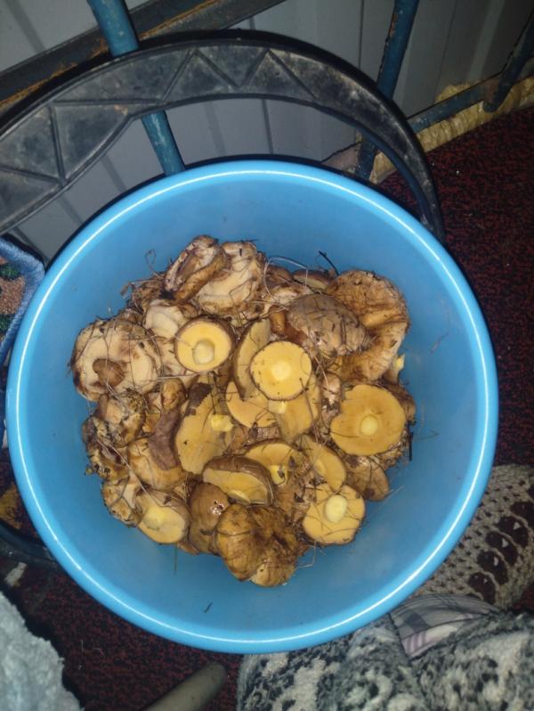 post image 5