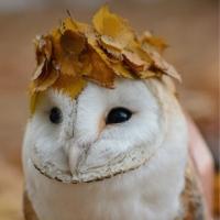 Юсик 🎃