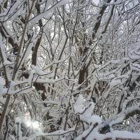Наталья