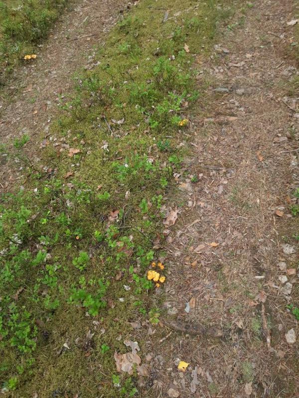post image 4