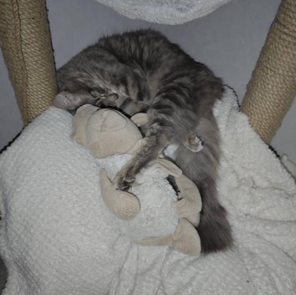 post image 4