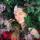 tanya_23